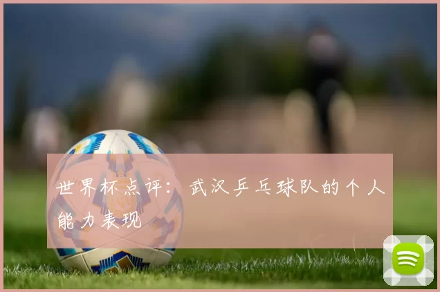 世界杯点评：武汉乒乓球队的个人能力表现