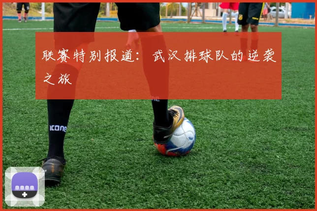 联赛特别报道：武汉排球队的逆袭之旅