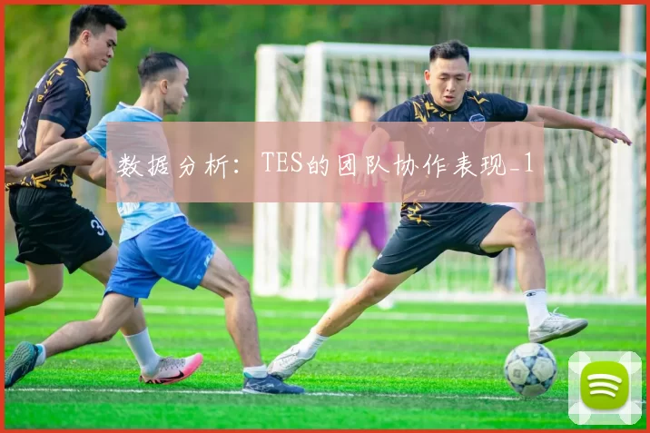数据分析：TES的团队协作表现_1