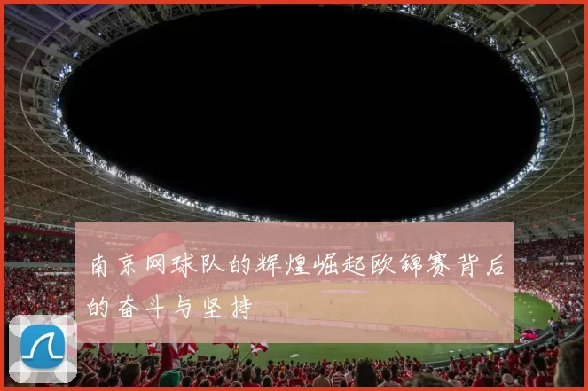 南京网球队的辉煌崛起欧锦赛背后的奋斗与坚持