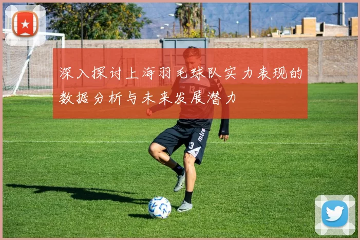 深入探讨上海羽毛球队实力表现的数据分析与未来发展潜力