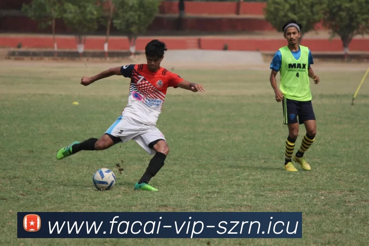 乐竞体育平台生态图